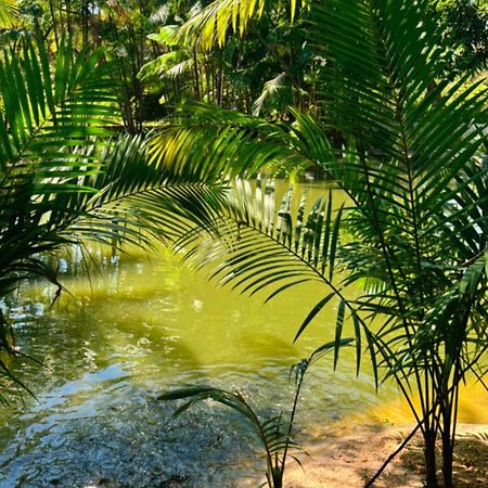 Готель Pousada Beira Rio Barrerinhas Баррейріняс Екстер'єр фото