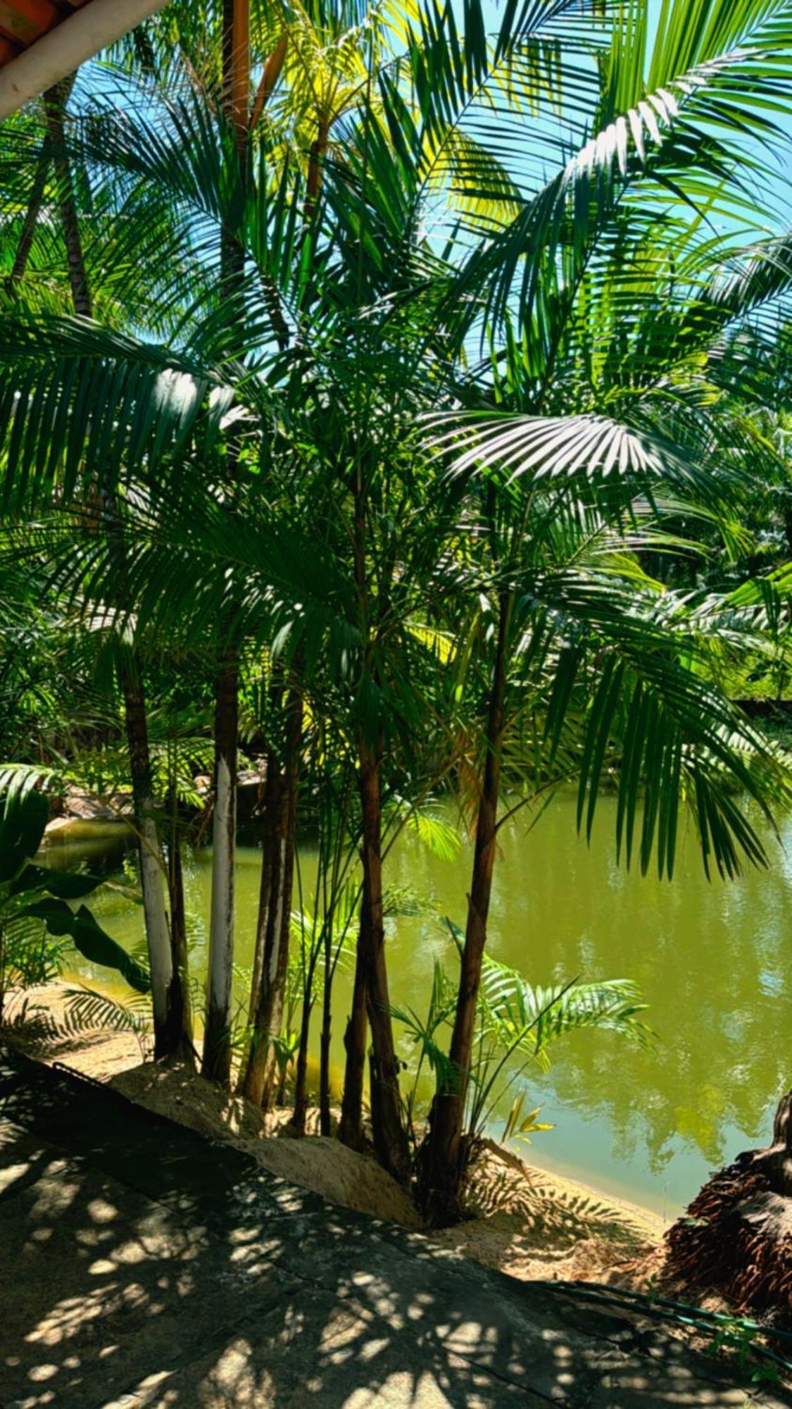 Готель Pousada Beira Rio Barrerinhas Баррейріняс Екстер'єр фото
