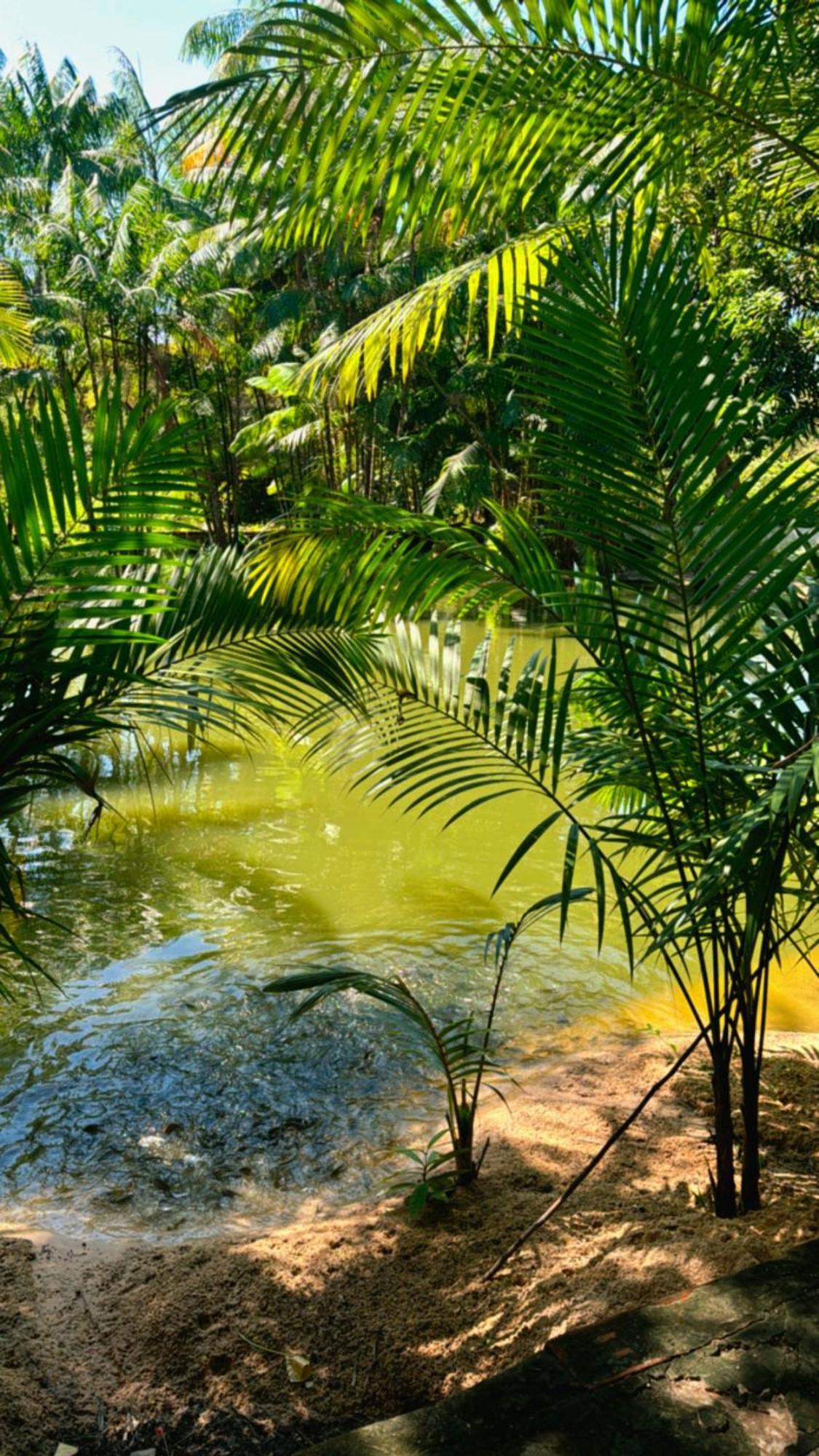 Готель Pousada Beira Rio Barrerinhas Баррейріняс Екстер'єр фото