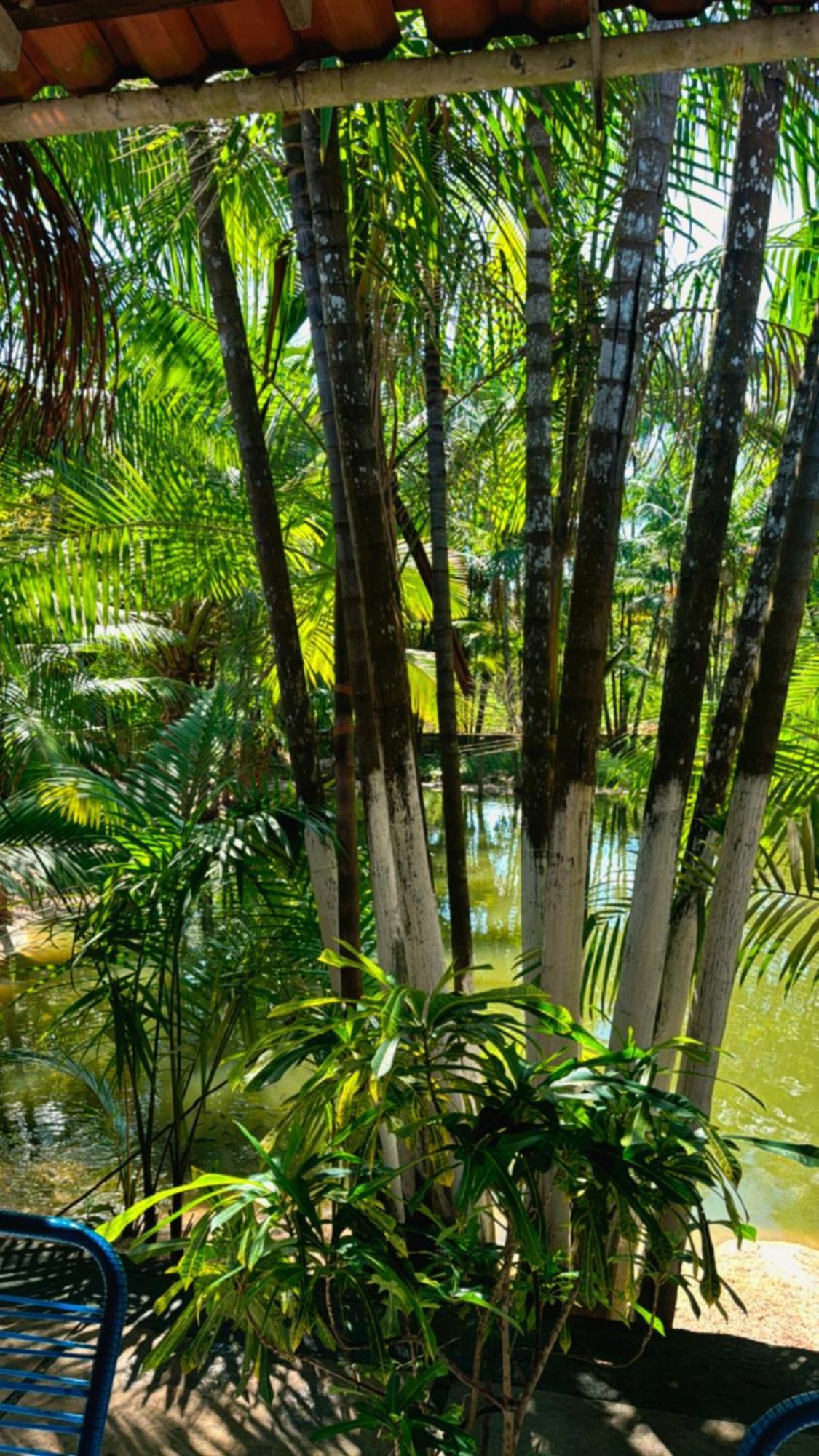 Готель Pousada Beira Rio Barrerinhas Баррейріняс Екстер'єр фото