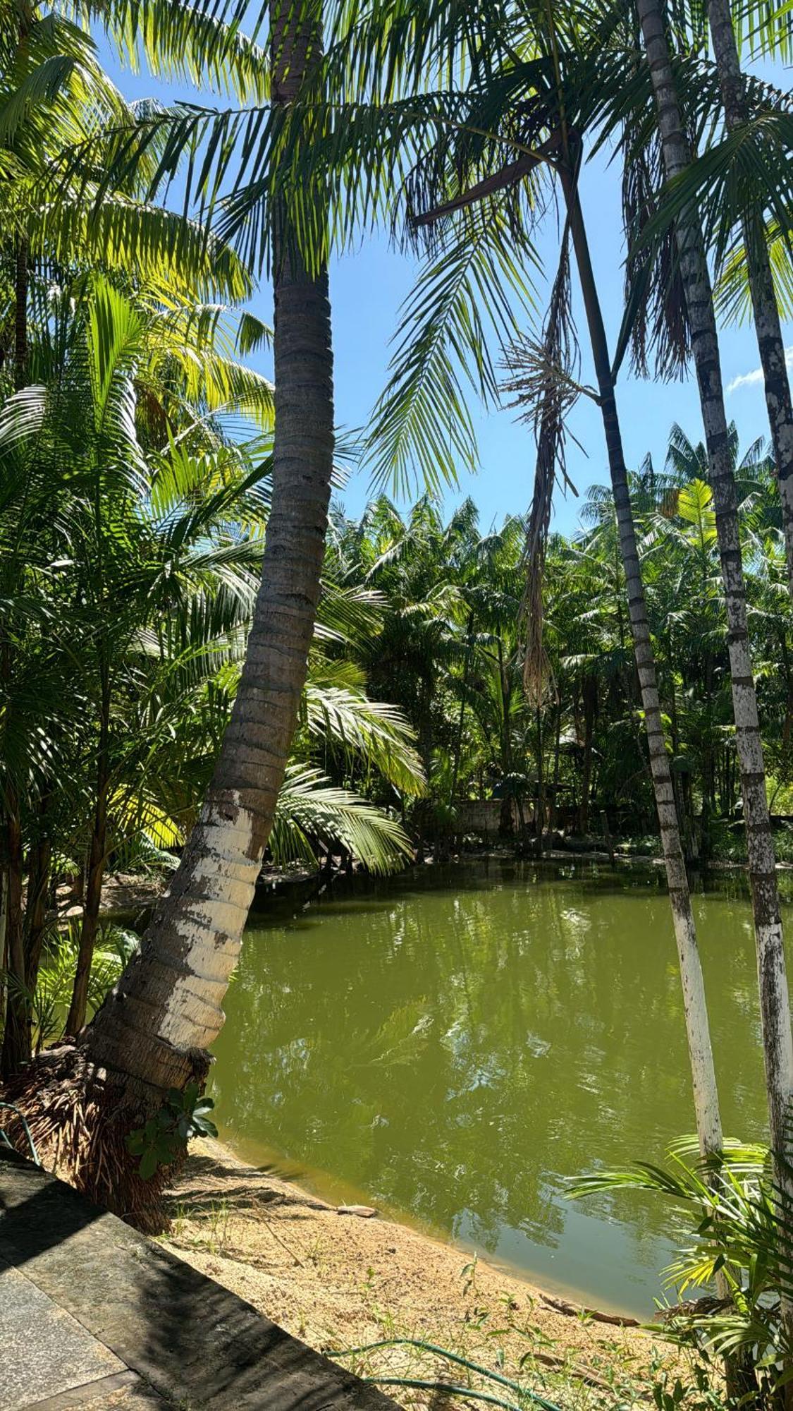 Готель Pousada Beira Rio Barrerinhas Баррейріняс Екстер'єр фото